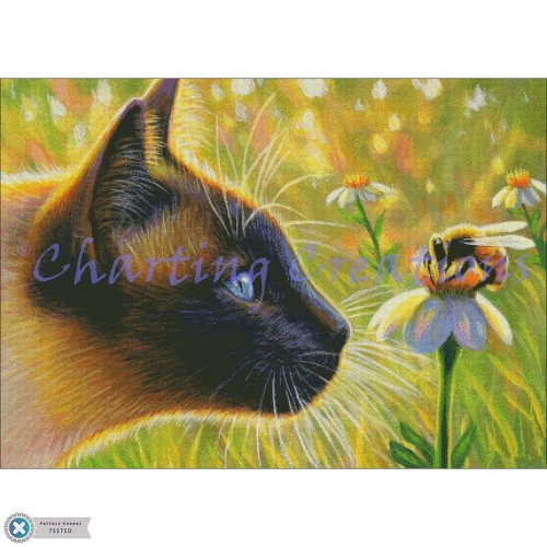 (image for) A Buzz In Sahara’s Garden